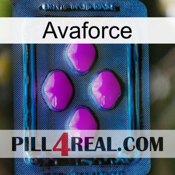 Avaforce 04.jpg